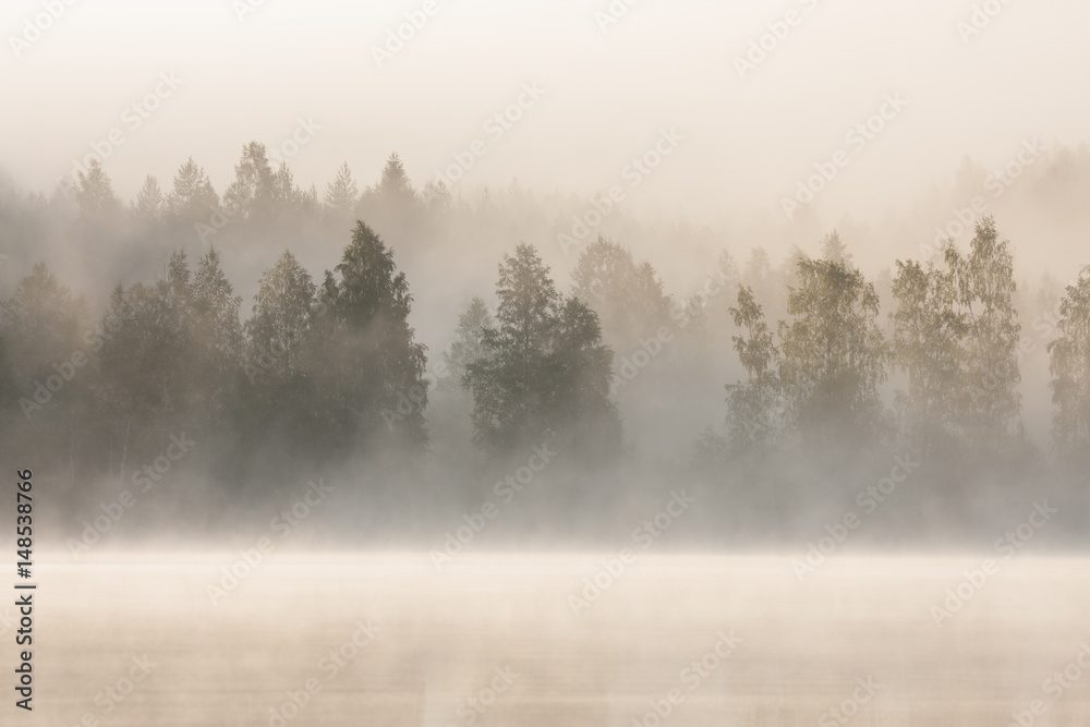 Mist over a still lake at dawn
