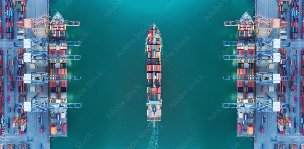 Container ships and gantry cranes seen from above
